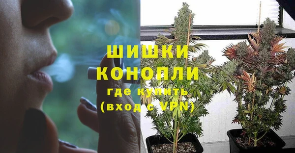 гидропоника Алексеевка