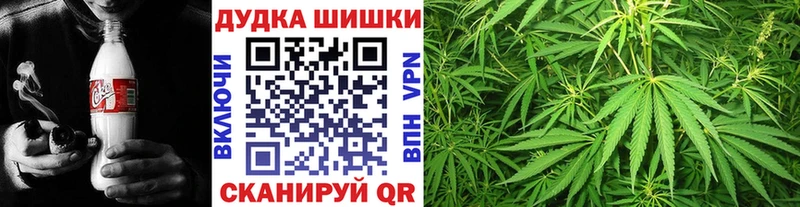 Бошки Шишки THC 21%  Лукоянов 